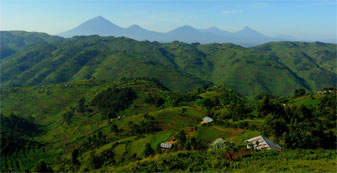 En route to Bwindi Impenetrable Forest, the Congolese Virunga volcanoes  in the distance.